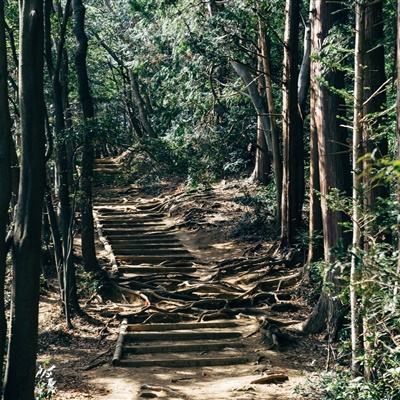 放开那和尚手游下载
